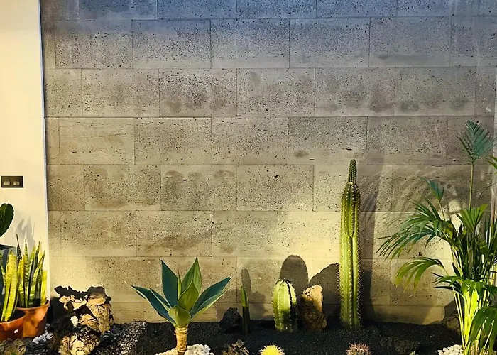 Garden House, Playa Honda Apartament
